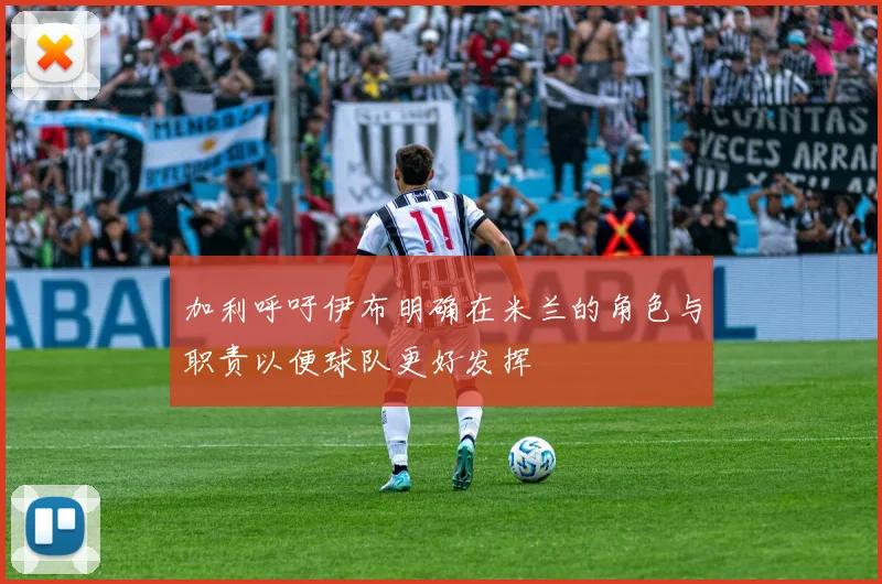 加利呼吁伊布明确在米兰的角色与职责以便球队更好发挥