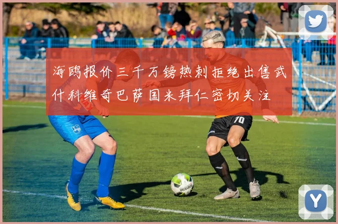 海鸥报价三千万镑热刺拒绝出售武什科维奇巴萨国米拜仁密切关注